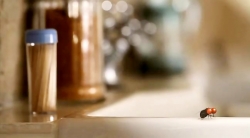 خیلی خیلی کوچک (2) (هیولای مایکروفر)